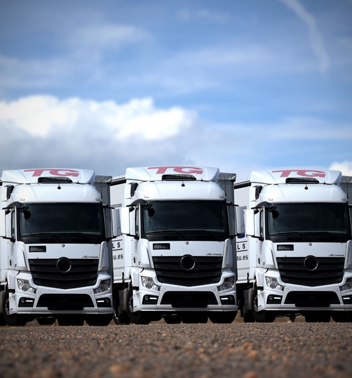 TRANSGRAU SERVICIOS 5DISTRIBUCION